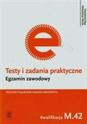 Testy i za... - Jarosław Idczak -  books from Poland