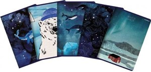 Picture of Zeszyt A5/80K kratka Winter Sailor (5szt)