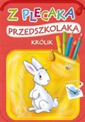 Książka : Z plecaka ... - Anna Horosin