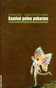 Zobacz : Kamień peł... - Tkaczyszyn-Dycki Eugeniusz