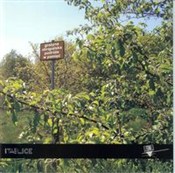 Książka : Podróże w ... - Grażyna Obrąpalska