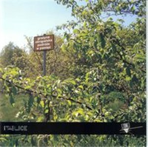 Obrazek Podróże w pamięć