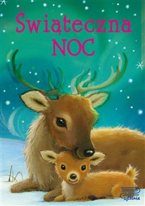 Obrazek Świąteczna noc