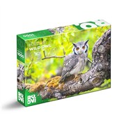 Książka : Puzzle 100...