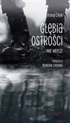 Głębia ost... - Iryna Ciłyk -  foreign books in polish 