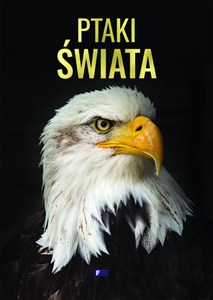 Obrazek Ptaki świata