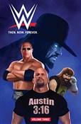 WWE Then. ... - Andy Belanger, Aaron Gillespie -  foreign books in polish 