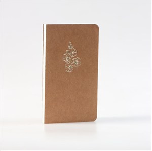 Picture of Notes Malwa