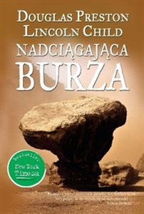 Obrazek Nadciągająca burza