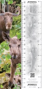 Picture of Zakładka 3D Łoś