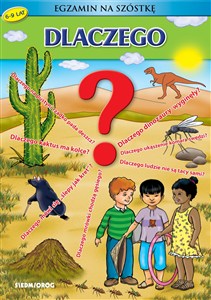 Obrazek Dlaczego? Egzamin na szóstkę