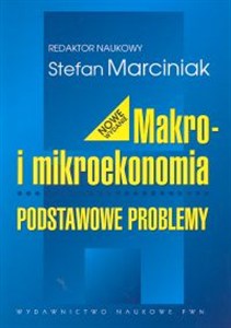 Obrazek Makro i mikroekonomia Podstawowe problemy