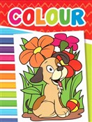 Colour Obr... - Opracowanie Zbiorowe -  foreign books in polish 