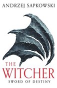 polish book : Sword of D... - Andrzej Sapkowski