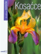 Kosaćce - Jacek Marcinkowski -  Książka z wysyłką do UK