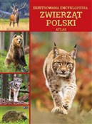 Polska książka : Ilustrowan... - zbiorowe Opracowanie