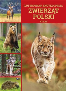 Obrazek Ilustrowana encyklopedia zwierząt Polski. Atlas