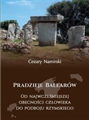 Pradzieje ... - Cezary Namirski -  foreign books in polish 