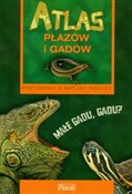Atlas płaz... - Anna Przybyłowicz -  foreign books in polish 