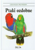 Ptaki ozdo... - Stanislav Chvapil -  books from Poland