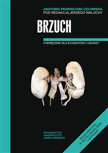 Picture of Anatomia Prawidłowa Człowieka Brzuch Podręcznik dla studentów i lekarzy