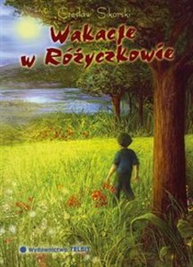 Obrazek Wakacje w Różyczkowie