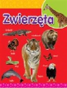 Zwierzęta -  books in polish 