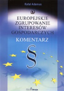 Obrazek Europejskie zgrupowanie interesów gospodarczych. Komentarz