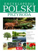 polish book : Encykloped... - Iwona Baturo, Jolanta Bąk, Jacek Bronowski