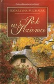 Rok w Pozi... - Katarzyna Michalak -  books in polish 