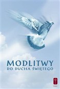 Zobacz : Modlitwy d... - Stanisław Maria Kałdon OP