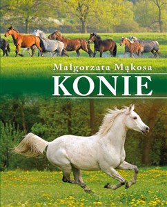 Obrazek Konie