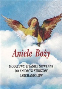 Picture of Aniele Boży. Modlitwy, litanie i nowenny do...