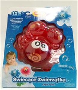 Picture of Świecące zwierzątka