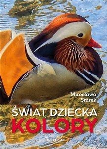 Obrazek Świat dziecka Kolory