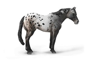 Picture of Niebieski Deresz Appaloosa