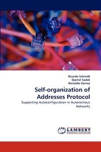 Obrazek Self-organization of Addresses Protocol