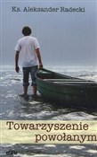 Towarzysze... - Aleksander Radecki -  books in polish 