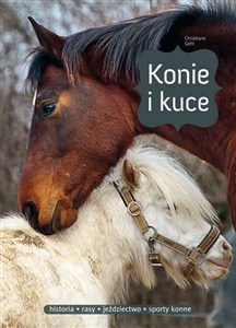Obrazek Konie i kuce