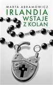 polish book : Irlandia w... - Marta Abramowicz