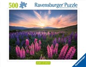 Polska książka : Puzzle 2D:...