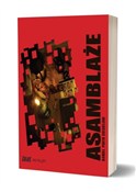 Polska książka : Asamblaże - Daniel Piotr Ciesielski
