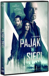 Picture of Pająk w sieci