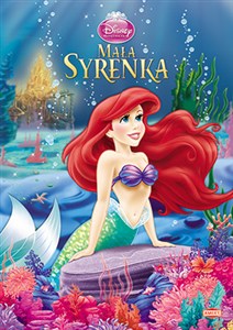Obrazek Mała syrenka D270
