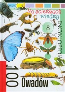 Obrazek Na ścieżkach wiedzy 8 100 owadów Encyklopedia