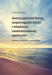 Obrazek Instytucjonalne formy wspomagania dzieci...