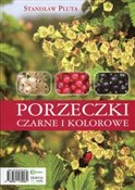 Porzeczki ... - Stanisław Pluta -  Polish Bookstore 