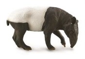 Polska książka : Tapir Czap...