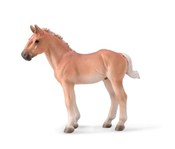 Książka : Noriker Ka...