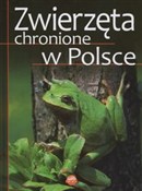 Zwierzęta ... - Sylwia Weber -  books from Poland